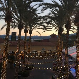 Meet your Posher, Jacklyn